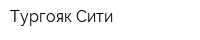 Тургояк-Сити