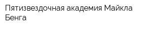 Пятизвездочная академия Майкла Бенга