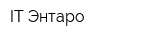 IT Энтаро