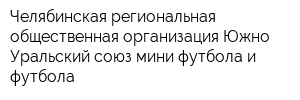 Челябинская региональная общественная организация Южно-Уральский союз мини-футбола и футбола