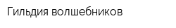 Гильдия волшебников