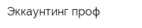 Эккаунтинг проф