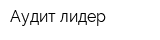 Аудит лидер
