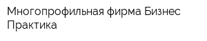 Многопрофильная фирма Бизнес-Практика