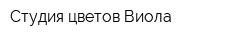 Студия цветов Виола