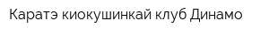 Каратэ киокушинкай клуб Динамо