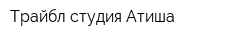 Трайбл студия Атиша