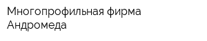 Многопрофильная фирма Андромеда