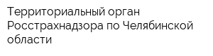 Территориальный орган Росстрахнадзора по Челябинской области
