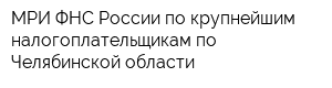 МРИ ФНС России по крупнейшим налогоплательщикам по Челябинской области