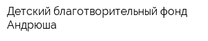 Детский благотворительный фонд Андрюша