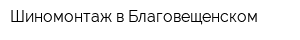 Шиномонтаж в Благовещенском