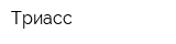 Триасс