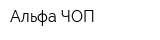 Альфа ЧОП