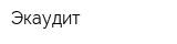 Экаудит
