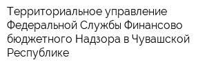 Территориальное управление Федеральной Службы Финансово-бюджетного Надзора в Чувашской Республике