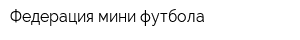 Федерация мини-футбола
