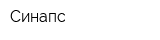 Синапс