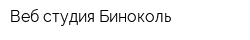 Веб-студия Биноколь