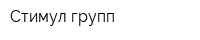 Стимул-групп