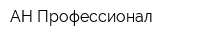 АН Профессионал