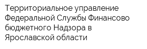 Территориальное управление Федеральной Службы Финансово-бюджетного Надзора в Ярославской области