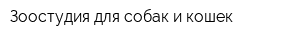 Зоостудия для собак и кошек