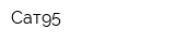 Сат95
