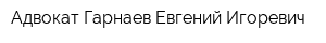 Адвокат Гарнаев Евгений Игоревич