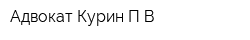 Адвокат Курин ПВ