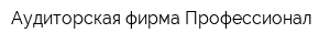 Аудиторская фирма Профессионал
