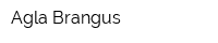 Agla Brangus