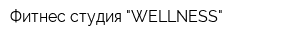 Фитнес студия "WELLNESS"