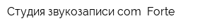 Студия звукозаписи com Forte