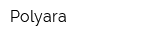 Polyara