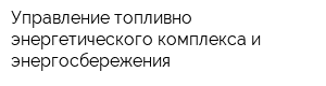 Управление топливно-энергетического комплекса и энергосбережения