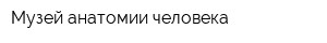 Музей анатомии человека