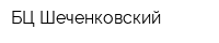 БЦ Шеченковский