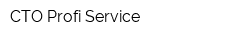 СТО Profi Service