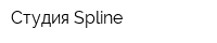 Студия Spline