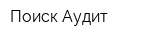 Поиск-Аудит