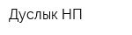 Дуслык НП