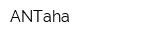 ANTaha