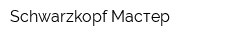 Schwarzkopf-Мастер