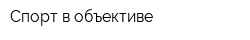 Спорт в объективе