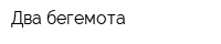 Два бегемота