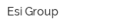 Esi Group