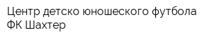 Центр детско-юношеского футбола ФК Шахтер