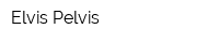 Elvis Pelvis