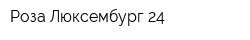 Роза Люксембург 24